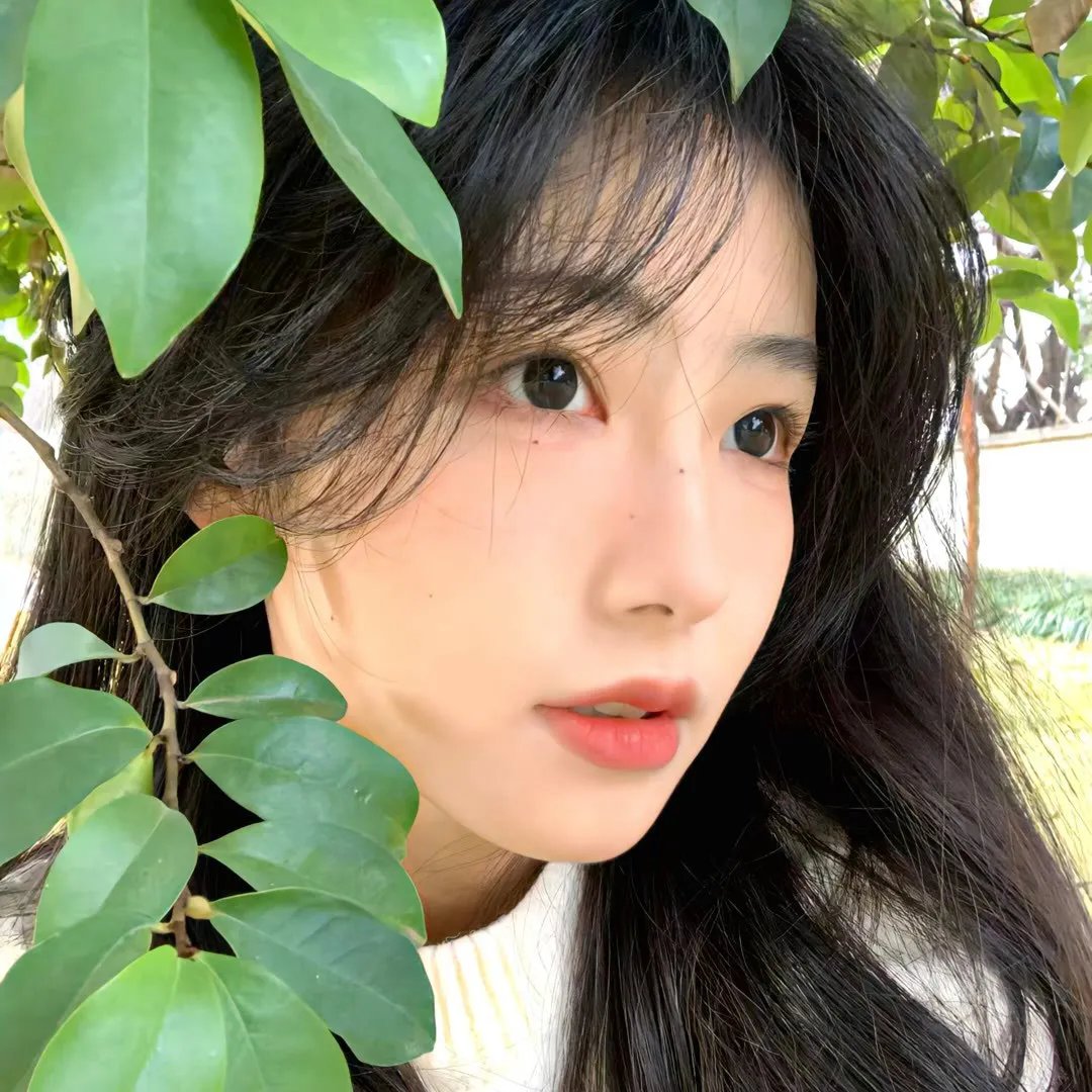 陶之恋